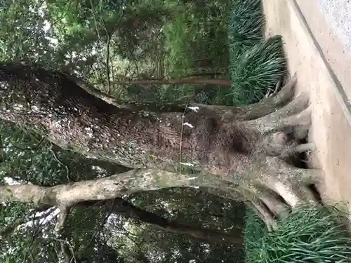 江田神社(宮崎県)