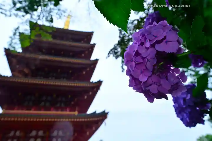 高幡不動尊 金剛寺(東京都)