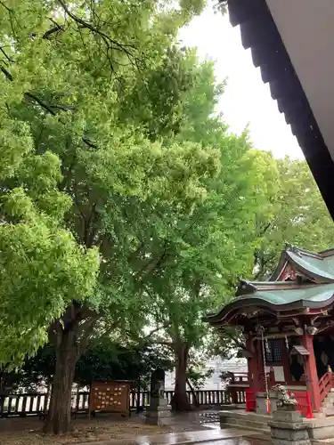 小金八坂神社(千葉県)