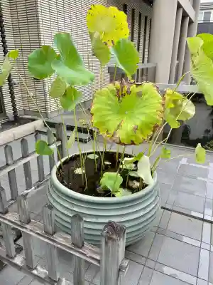 泉龍寺別院(東京都)