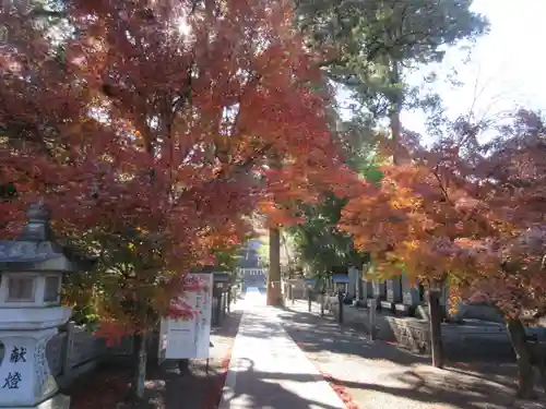 石鎚神社 口之宮 本社(愛媛県)
