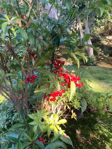 慈眼院(大阪府)