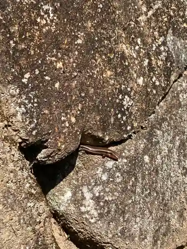 落合白山神社(東京都)
