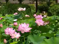 天龍寺(京都府)