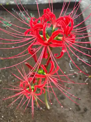 正覚院(神奈川県)