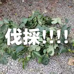 七重浜海津見神社(北海道)