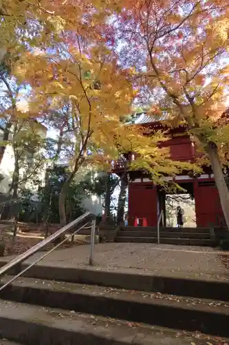 本土寺の山門・神門