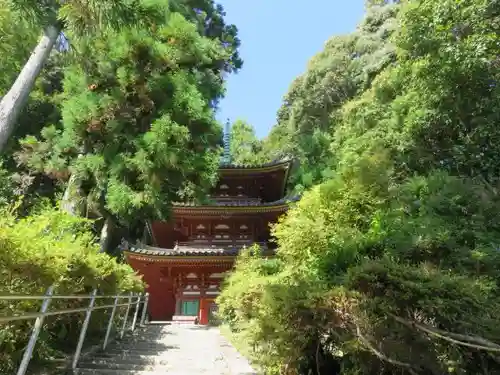 松尾寺の自然