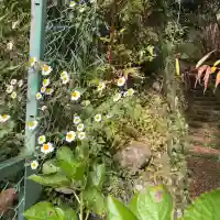 権現坂祠(神奈川県)