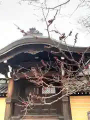 くろ谷 金戒光明寺の山門