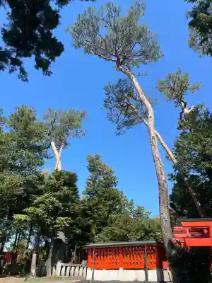 東伏見稲荷神社の{uncategorized: "未分類", other: "その他", undefined: "問題あり", building: "その他建物", grave: "お墓", sacred_gate: "鳥居", guardian: "狛犬", statue: "像", buddha: "仏像", history: "歴史", nature: "自然", garden: "庭園", animal: "動物", pagoda: "塔", temizu: "手水舎", mountain_gate: "山門・神門", sanctuary: "本殿・本堂", subordinate: "末社・摂社", art: "芸術", scenery: "景色", jizo: "地蔵", ema: "絵馬", goshuin: "御朱印", omikuji: "おみくじ", items: "授与品その他", amulet: "お守り", goshuincho: "御朱印帳", eats: "食事", festival: "お祭り", votive_dance: "神楽", shichigosan: "七五三参", wedding: "結婚式", experience: "体験その他", initially: "初詣", around: "周辺", anti_infection: "感染症対策"}