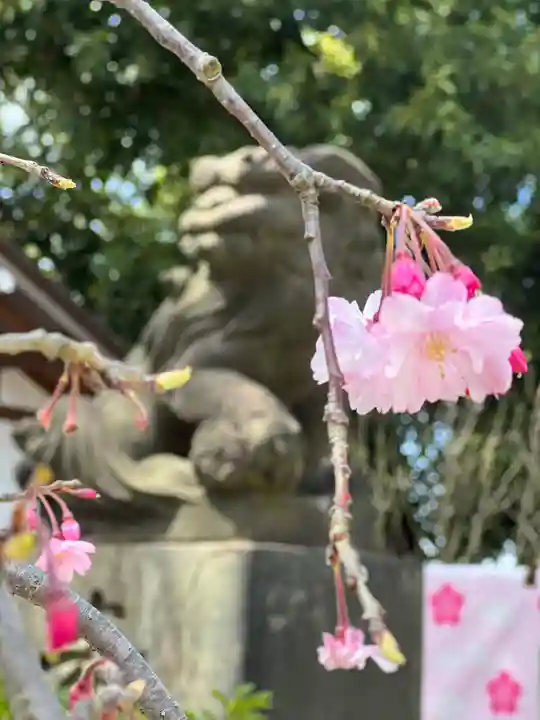 多摩川浅間神社の自然