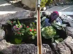 阿智神社の手水