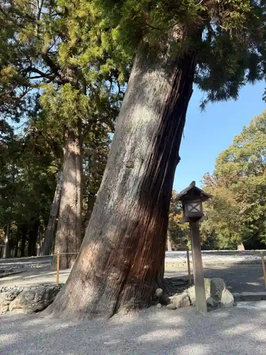 伊勢神宮外宮(豊受大神宮)の{uncategorized: "未分類", other: "その他", undefined: "問題あり", building: "その他建物", grave: "お墓", sacred_gate: "鳥居", guardian: "狛犬", statue: "像", buddha: "仏像", history: "歴史", nature: "自然", garden: "庭園", animal: "動物", pagoda: "塔", temizu: "手水舎", mountain_gate: "山門・神門", sanctuary: "本殿・本堂", subordinate: "末社・摂社", art: "芸術", scenery: "景色", jizo: "地蔵", ema: "絵馬", goshuin: "御朱印", omikuji: "おみくじ", items: "授与品その他", amulet: "お守り", goshuincho: "御朱印帳", eats: "食事", festival: "お祭り", votive_dance: "神楽", shichigosan: "七五三参", wedding: "結婚式", experience: "体験その他", initially: "初詣", around: "周辺", anti_infection: "感染症対策"}