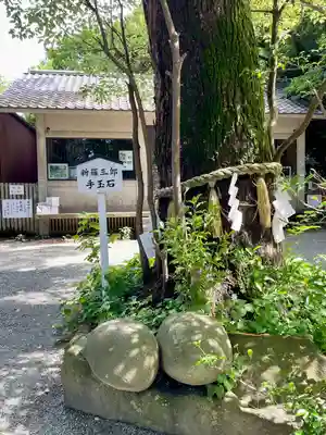 八雲神社（鎌倉・大町）(神奈川県)
