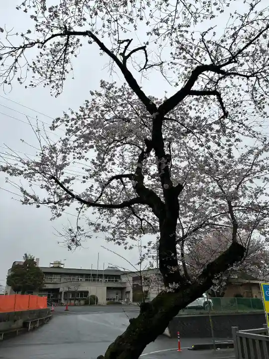 素鵞神社(茨城県)