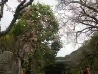 荏柄天神社のその他建物
