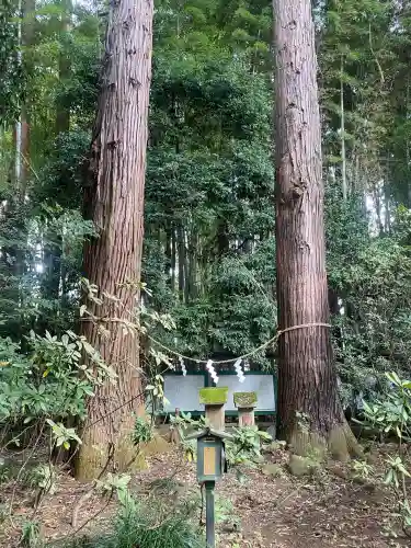 光丸山 法輪寺(栃木県)