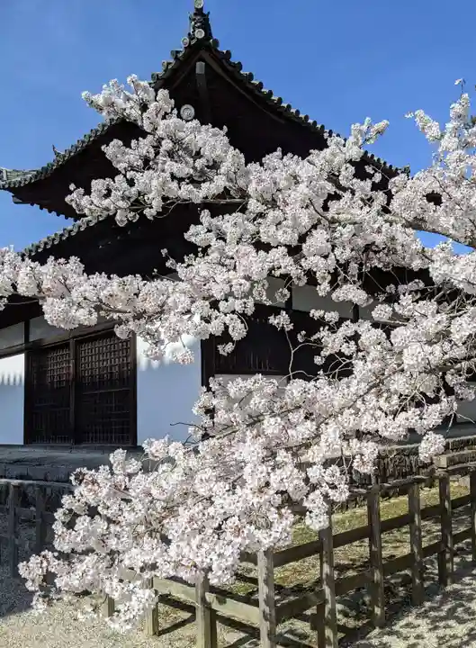 法輪寺(奈良県)