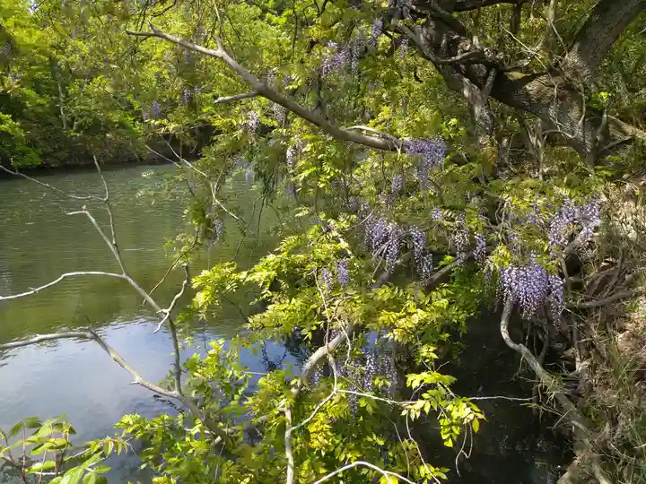 弁財天宮の自然