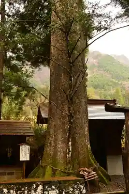 祇園神社(宮崎県)