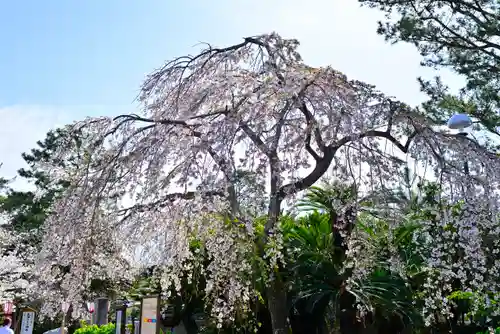 日枝神社(静岡県)