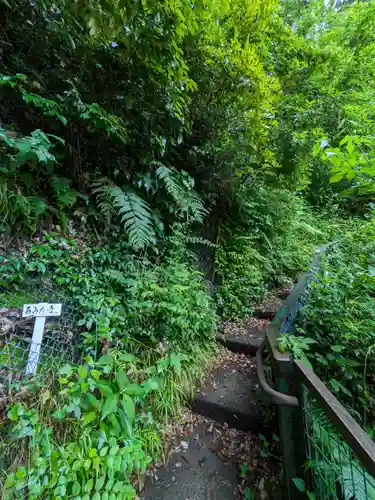 深澤銭洗弁財天の周辺