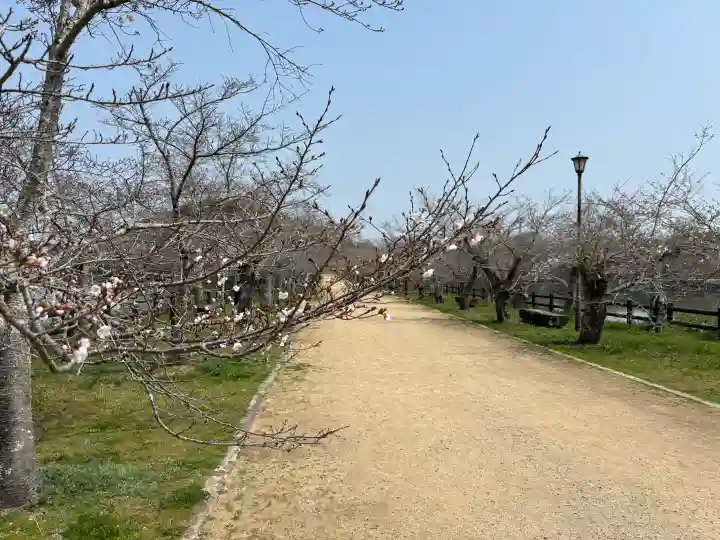 宇佐神社の{uncategorized: "未分類", other: "その他", undefined: "問題あり", building: "その他建物", grave: "お墓", sacred_gate: "鳥居", guardian: "狛犬", statue: "像", buddha: "仏像", history: "歴史", nature: "自然", garden: "庭園", animal: "動物", pagoda: "塔", temizu: "手水舎", mountain_gate: "山門・神門", sanctuary: "本殿・本堂", subordinate: "末社・摂社", art: "芸術", scenery: "景色", jizo: "地蔵", ema: "絵馬", goshuin: "御朱印", omikuji: "おみくじ", items: "授与品その他", amulet: "お守り", goshuincho: "御朱印帳", eats: "食事", festival: "お祭り", votive_dance: "神楽", shichigosan: "七五三参", wedding: "結婚式", experience: "体験その他", initially: "初詣", around: "周辺", anti_infection: "感染症対策"}