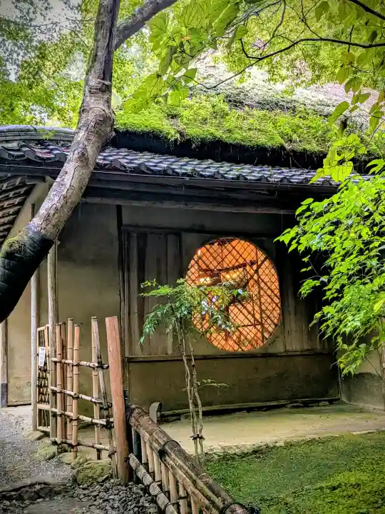 祇王寺の{uncategorized: "未分類", other: "その他", undefined: "問題あり", building: "その他建物", grave: "お墓", sacred_gate: "鳥居", guardian: "狛犬", statue: "像", buddha: "仏像", history: "歴史", nature: "自然", garden: "庭園", animal: "動物", pagoda: "塔", temizu: "手水舎", mountain_gate: "山門・神門", sanctuary: "本殿・本堂", subordinate: "末社・摂社", art: "芸術", scenery: "景色", jizo: "地蔵", ema: "絵馬", goshuin: "御朱印", omikuji: "おみくじ", items: "授与品その他", amulet: "お守り", goshuincho: "御朱印帳", eats: "食事", festival: "お祭り", votive_dance: "神楽", shichigosan: "七五三参", wedding: "結婚式", experience: "体験その他", initially: "初詣", around: "周辺", anti_infection: "感染症対策"}