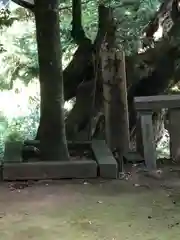 阿奈志神社(福井県)