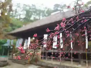 杉本寺(神奈川県)(2026年02月25日(水) 15時56分45秒投稿)