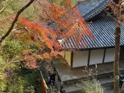 愛宕念仏寺(京都府)
