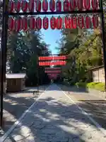 大崎八幡宮(宮城県)