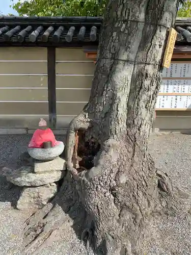東寺（教王護国寺）のその他建物