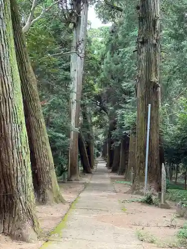 日吉神社(千葉県)