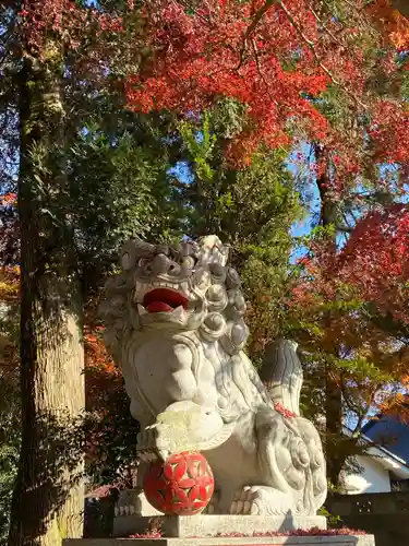 鹿嶋神社の狛犬