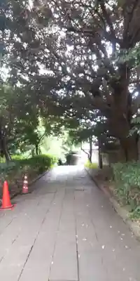 湯島聖堂(東京都)