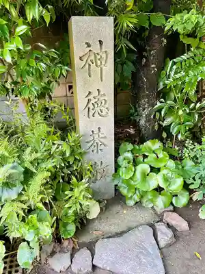 八雲神社（鎌倉・大町）(神奈川県)
