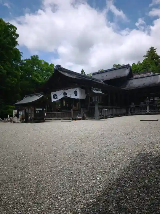 土佐神社の{uncategorized: "未分類", other: "その他", undefined: "問題あり", building: "その他建物", grave: "お墓", sacred_gate: "鳥居", guardian: "狛犬", statue: "像", buddha: "仏像", history: "歴史", nature: "自然", garden: "庭園", animal: "動物", pagoda: "塔", temizu: "手水舎", mountain_gate: "山門・神門", sanctuary: "本殿・本堂", subordinate: "末社・摂社", art: "芸術", scenery: "景色", jizo: "地蔵", ema: "絵馬", goshuin: "御朱印", omikuji: "おみくじ", items: "授与品その他", amulet: "お守り", goshuincho: "御朱印帳", eats: "食事", festival: "お祭り", votive_dance: "神楽", shichigosan: "七五三参", wedding: "結婚式", experience: "体験その他", initially: "初詣", around: "周辺", anti_infection: "感染症対策"}