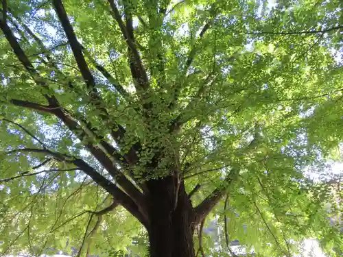 大隣寺(福島県)