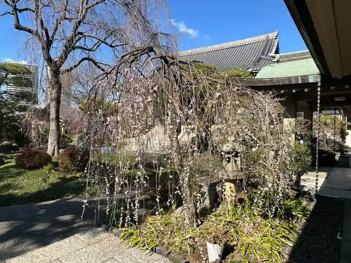 圓照寺(東京都)