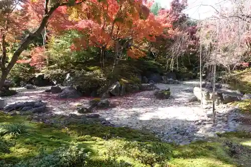 宝筐院の庭園