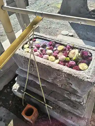 相模原氷川神社(神奈川県)