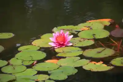 輪王寺のその他建物