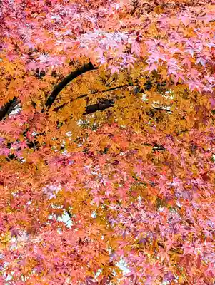 根上神社の自然