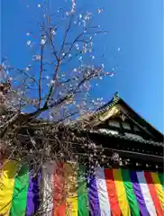 大坊本行寺の建物その他