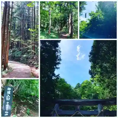戸隠神社奥社(長野県)