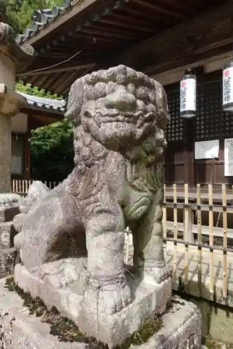 科長神社の狛犬