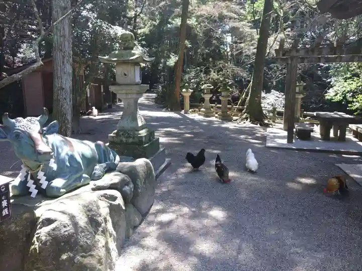 石上神宮(奈良県)