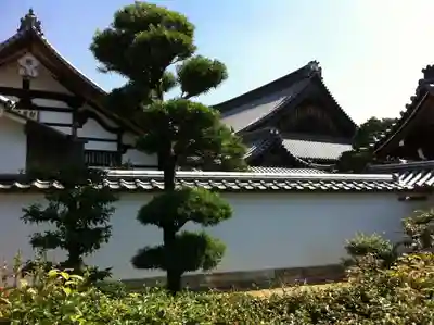 妙心寺（妙心禅寺）のその他建物